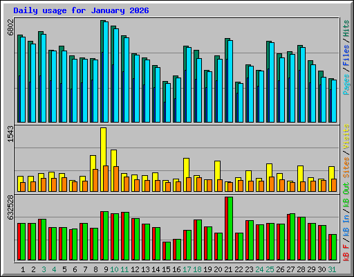 Daily usage for January 2026
