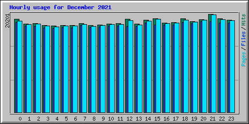 Hourly usage for December 2021