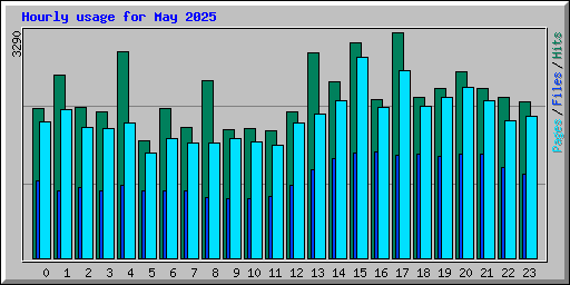 Hourly usage for May 2025