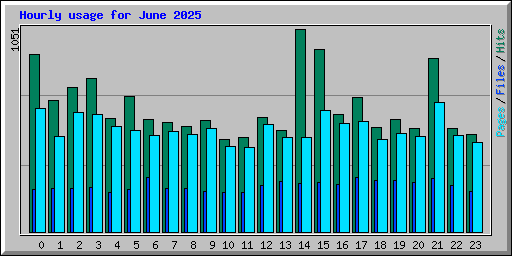 Hourly usage for June 2025