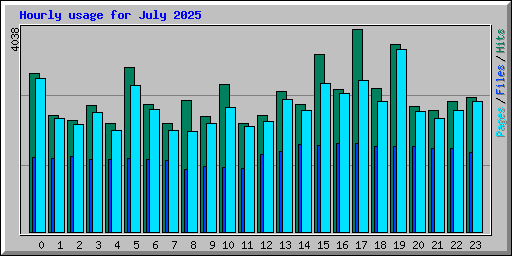 Hourly usage for July 2025