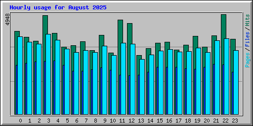 Hourly usage for August 2025