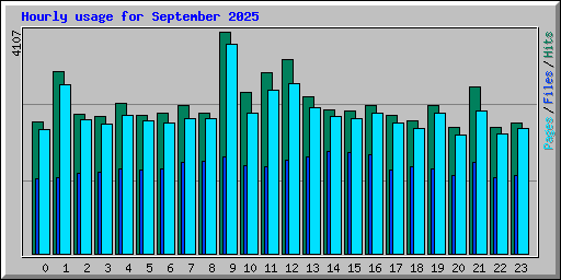 Hourly usage for September 2025