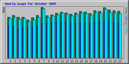 Hourly usage for October 2025