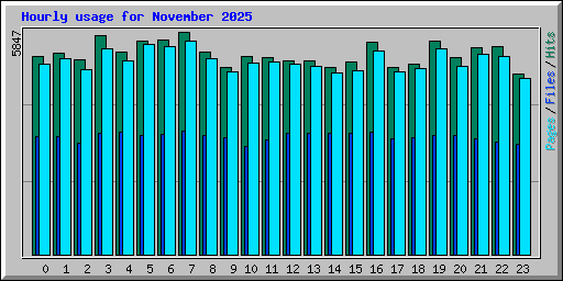 Hourly usage for November 2025