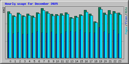 Hourly usage for December 2025