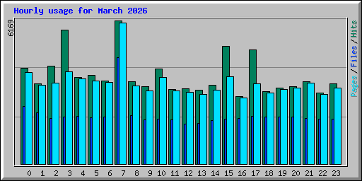 Hourly usage for March 2026