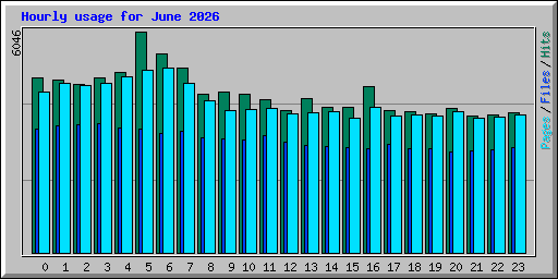 Hourly usage for June 2026
