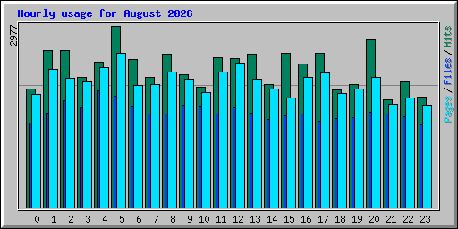 Hourly usage for August 2026